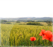 tenuta tegolaia casa vacanze toscana