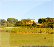 tenuta tegolaia casa vacanze toscana