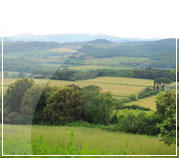 tenuta tegolaia casa vacanze toscana